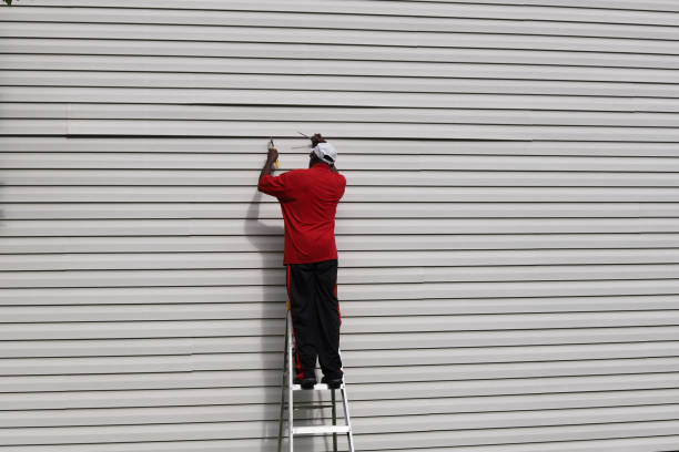 Best Siding for Commercial Buildings  in Ocean View, DE